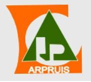 Arpruis